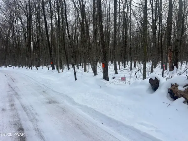 Berry Hill Road, Lakeville, PA 18438