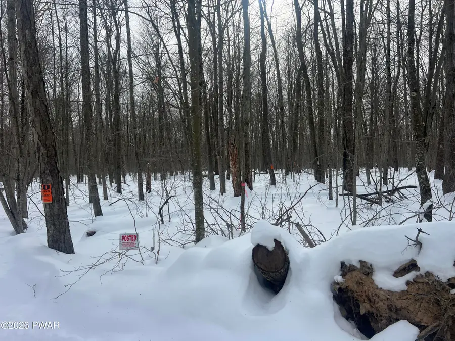 Berry Hill Road, Lakeville, PA 18438 - #2