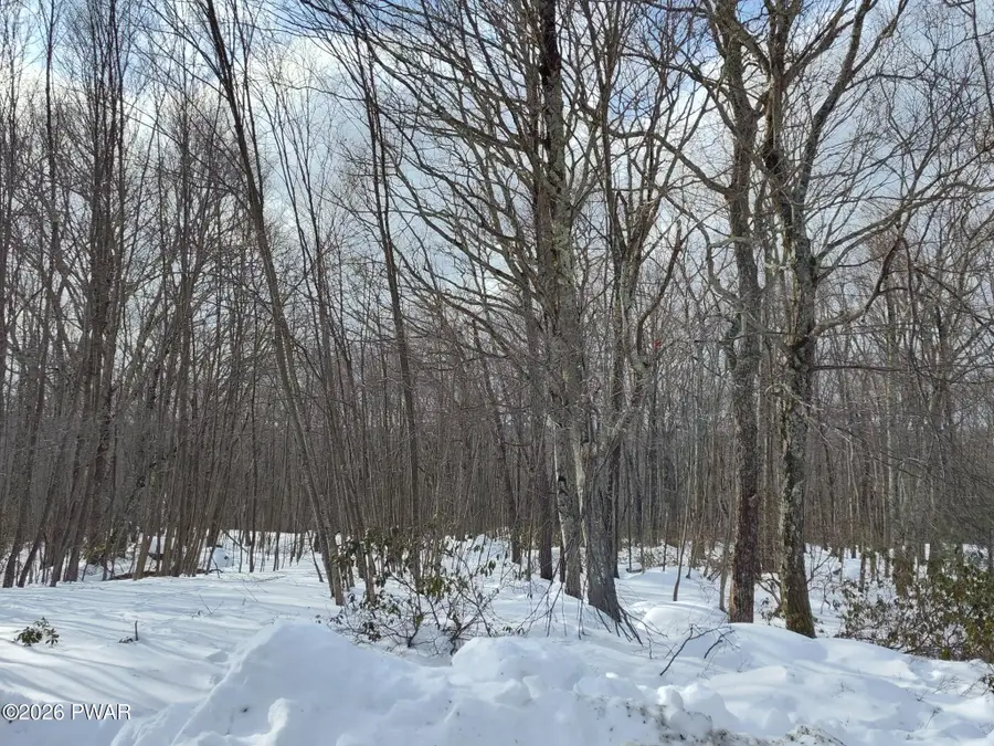 229 Locust Drive, Pocono Woodland Lakes, PA 18337 - #2