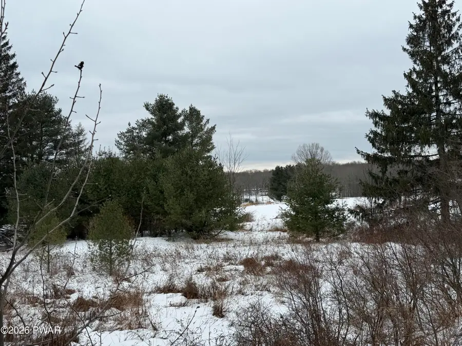 101 Burning Tree Drive, Hawley, PA 18428 - #2