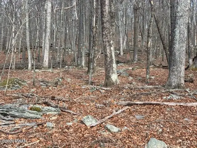 Lot 644 Woodcock Road, Pocono Ranch Lands, PA 18324 - #3