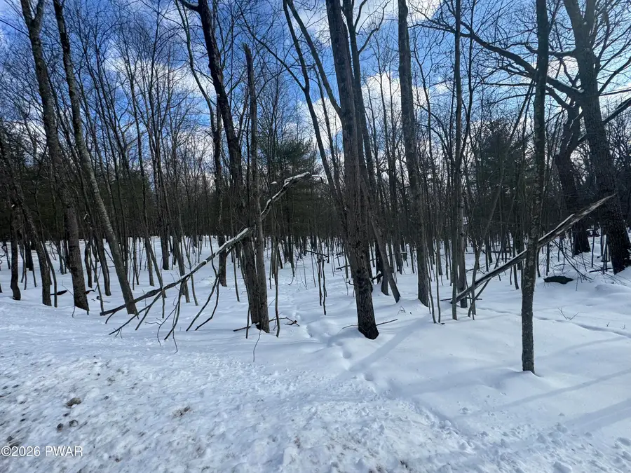 1.03 Acres Gunstock Lane, Tafton, PA 18464 - #3