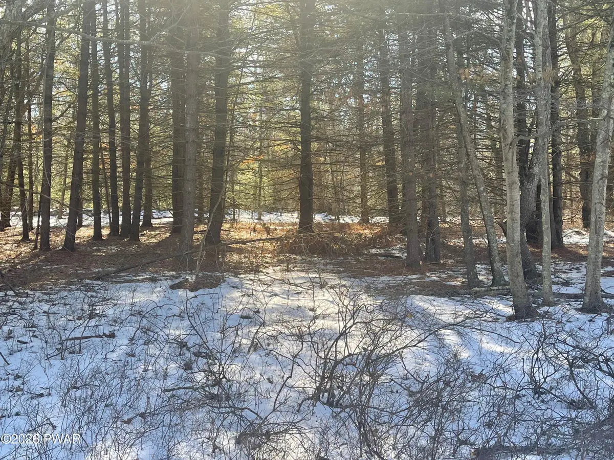 Maplewood Drive, Lackawaxen, PA 18435 - #1