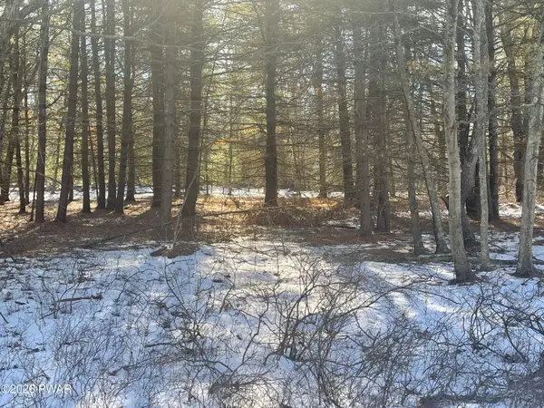 Maplewood Drive, Lackawaxen, PA 18435