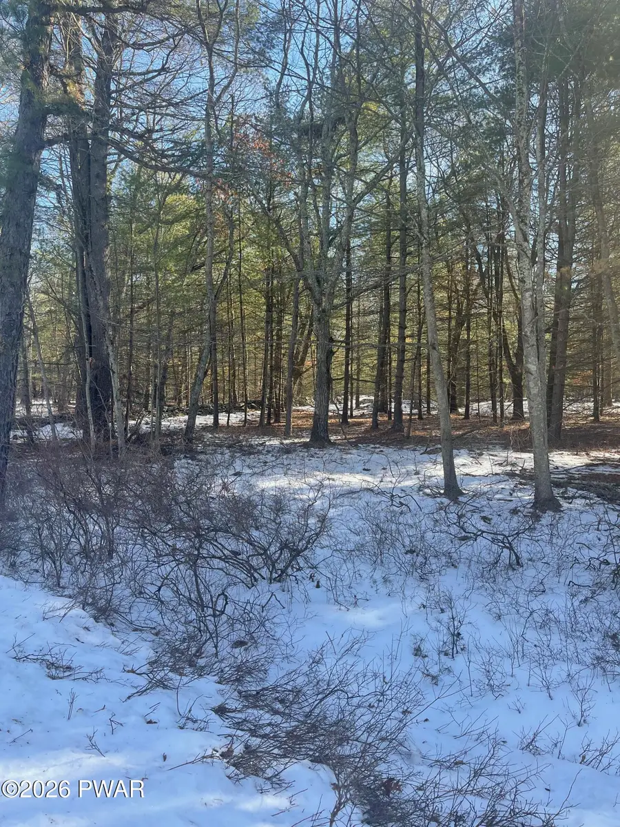 Maplewood Drive, Lackawaxen, PA 18435 - #3