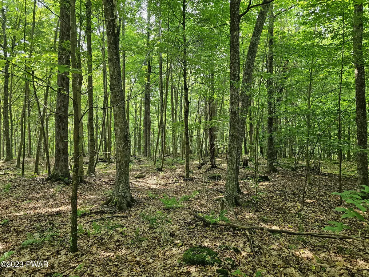 Lot 61 Rock Run Road, Equinunk, PA 18417 - #1