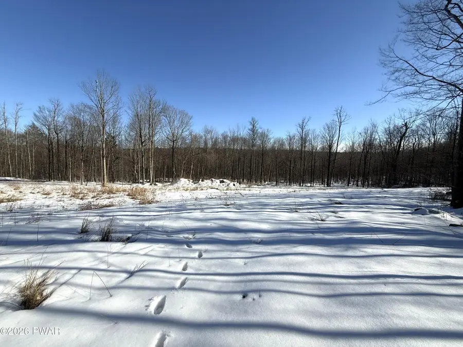 Lot 23 Bridle Way, Equinunk, PA 18417 - #2