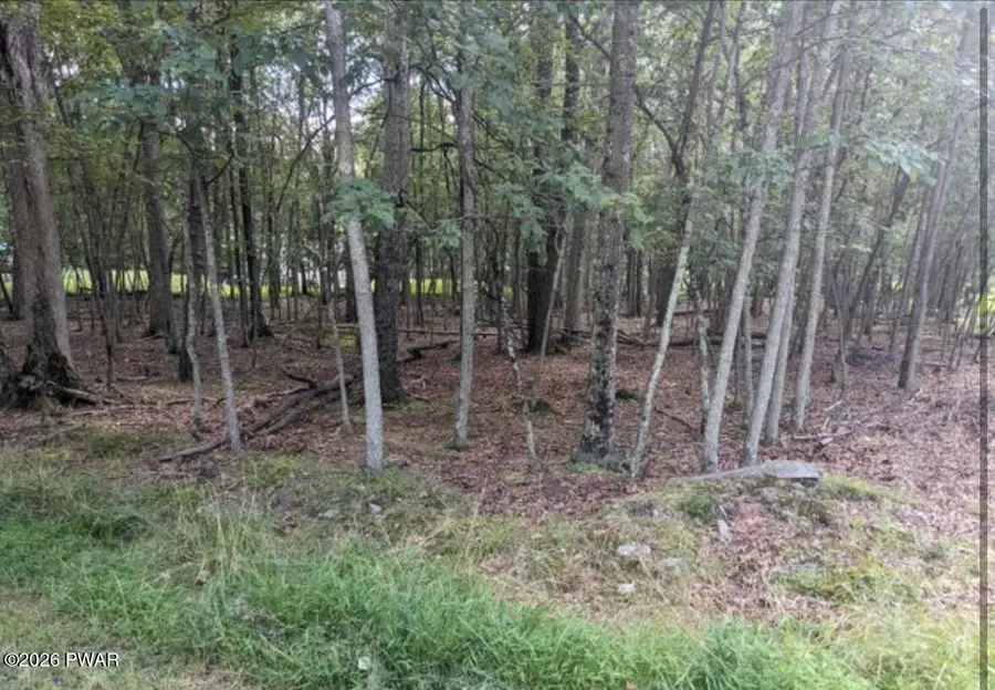 Lot 1 Highridge & Glenbrook Dr Road, Dingmans Ferry, PA 18328 - #2