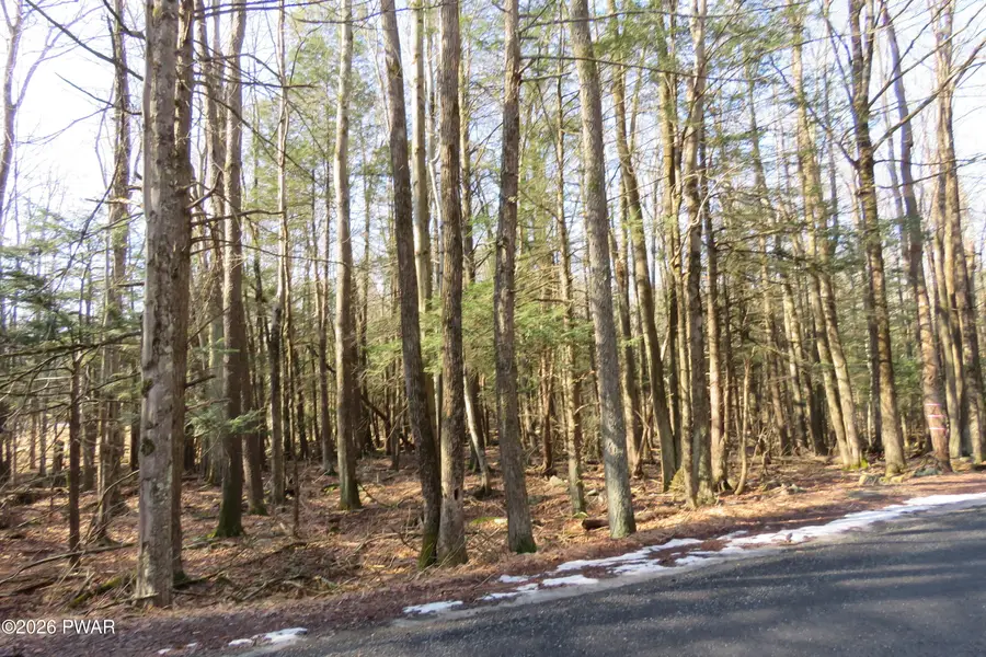 Lots 20-22 Orion Way, Lake Ariel, PA 18436 - #2