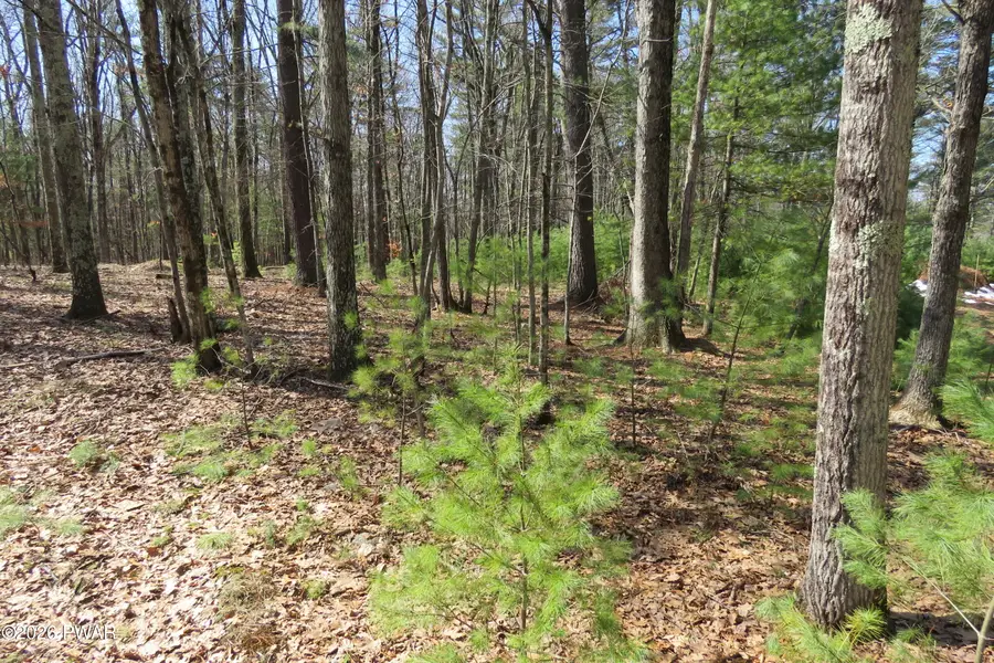 Lot 30 Ledgecrest Road, Hawley, PA 18428 - #3
