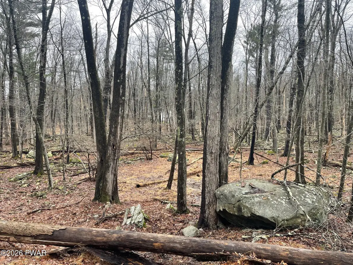 Witch Hazel Lane, Milford, PA 18337 - #1