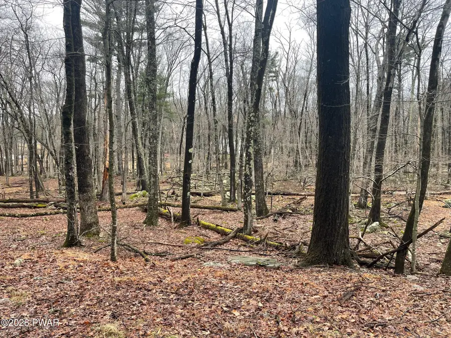 Witch Hazel Lane, Milford, PA 18337 - #2