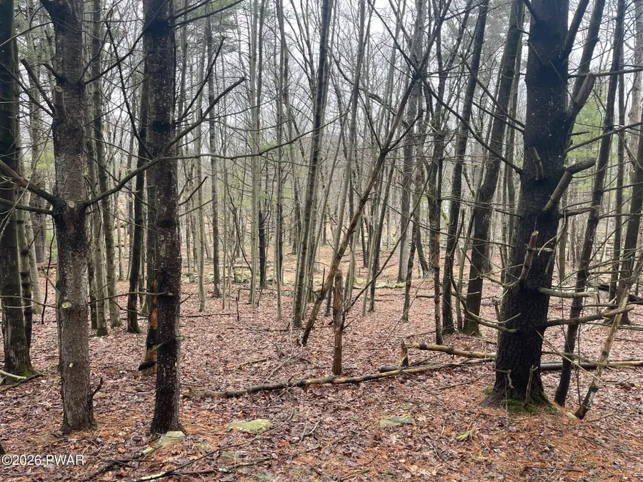 Witch Hazel Lane, Milford, PA 18337 - #3