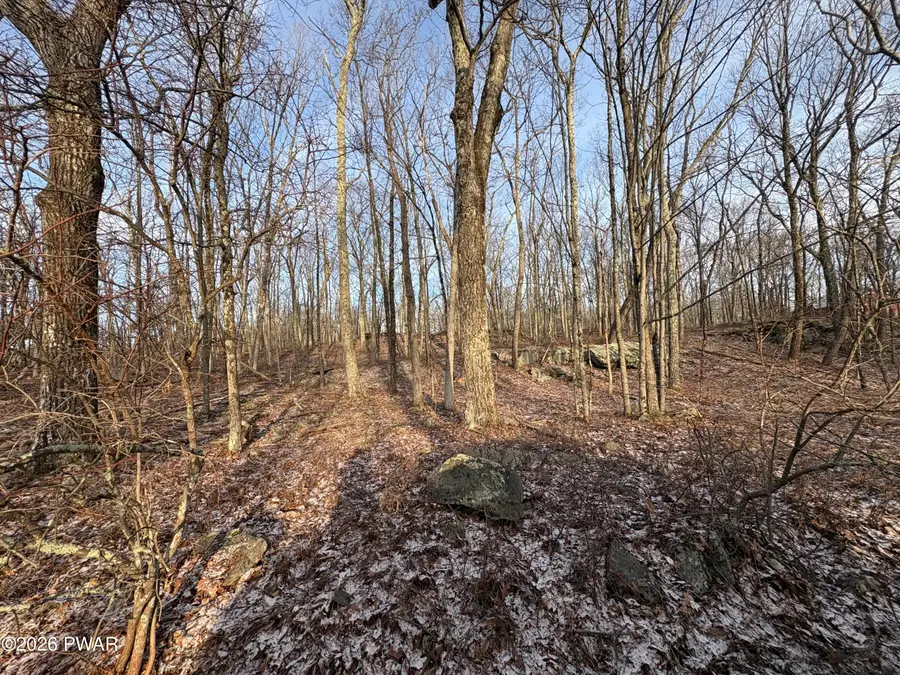 lot 39 Acres Drive, Dingmans Ferry, PA 18328 - #3