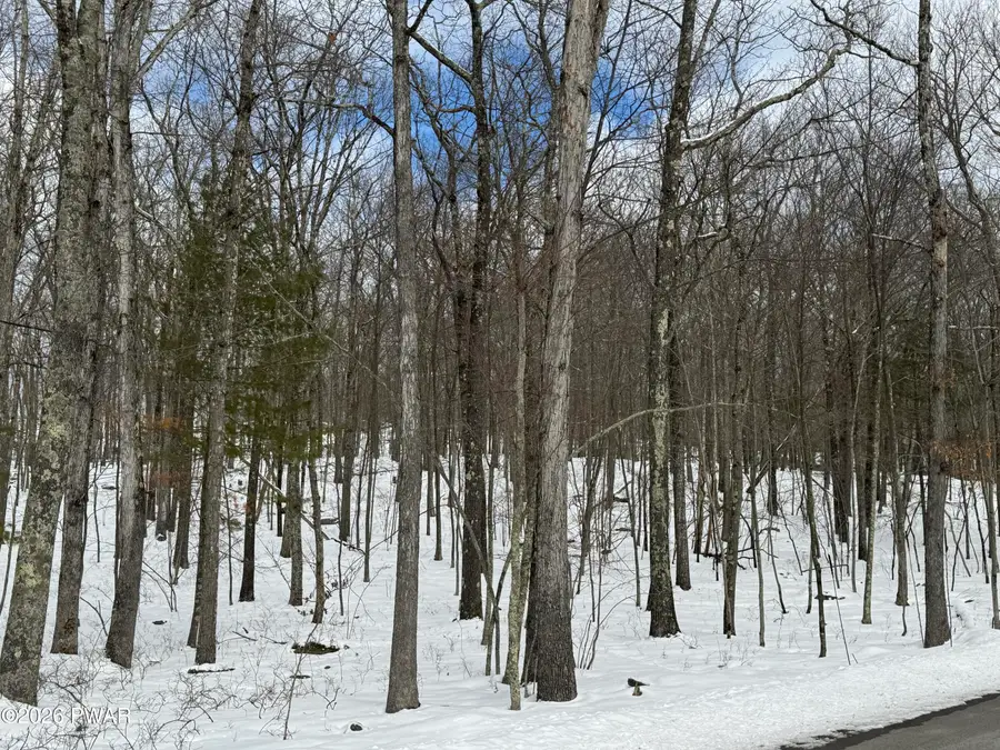 1.12 Acres Urban Road, Lords Valley, PA 18428 - #2