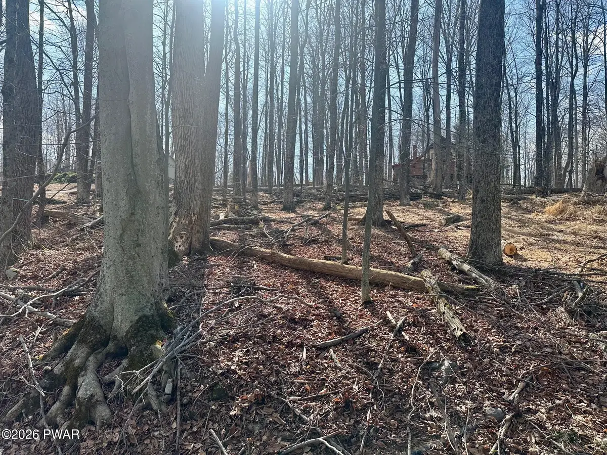 Lot 86 Cherry Lane, Greentown, PA 18426 - #1