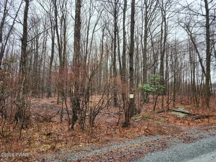 Horseshoe Drive, Honesdale, PA 18431 - #3