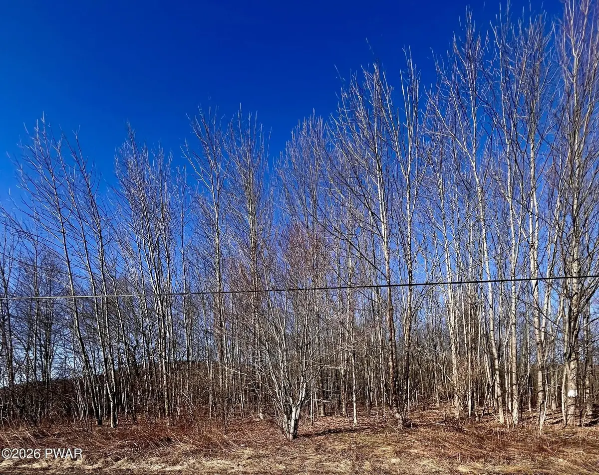 0 Belmont Turnpike, Waymart, PA 18470 - #1