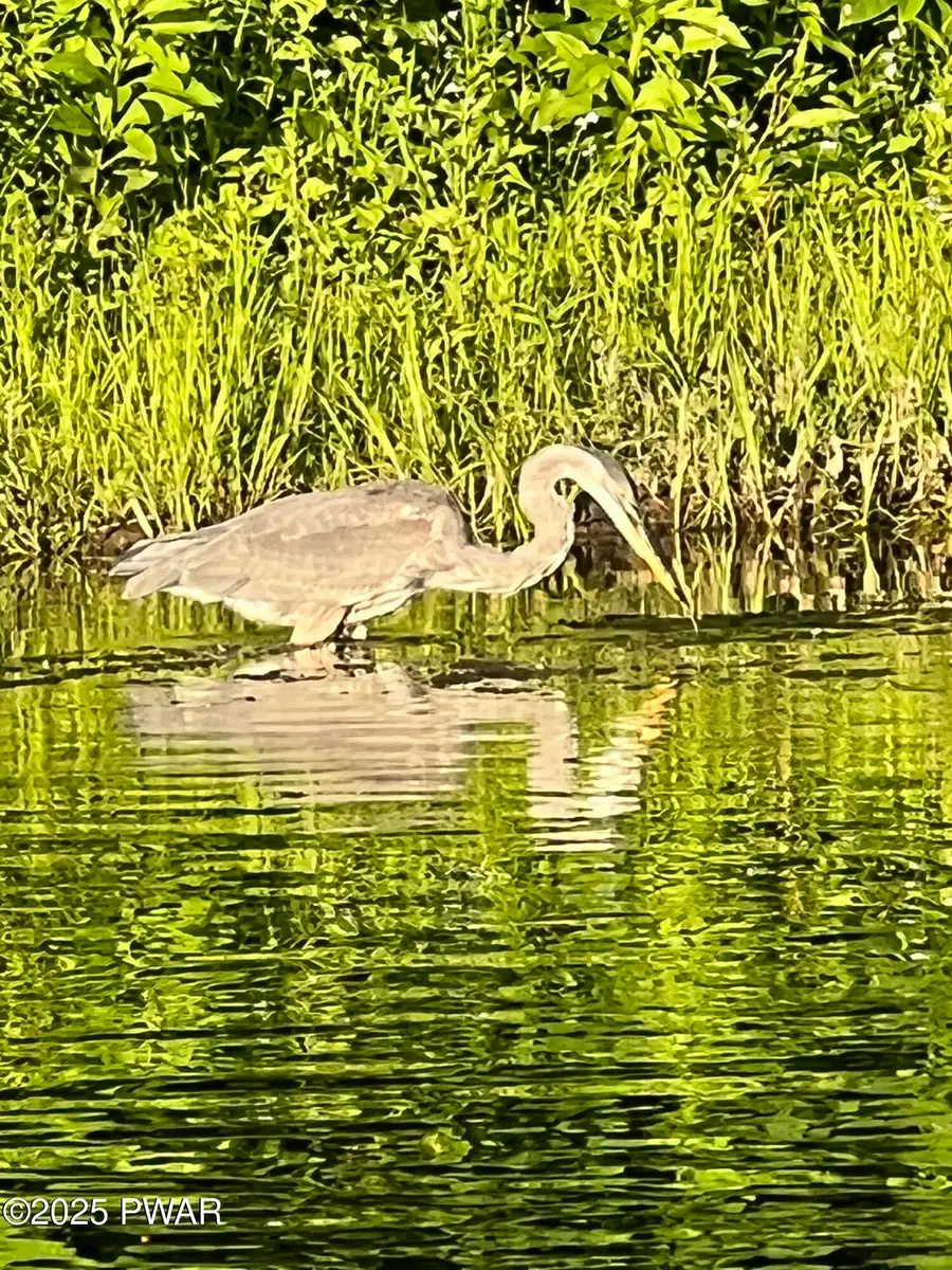 Lot 3 Warren Road, Hancock, NY 13783 - #3