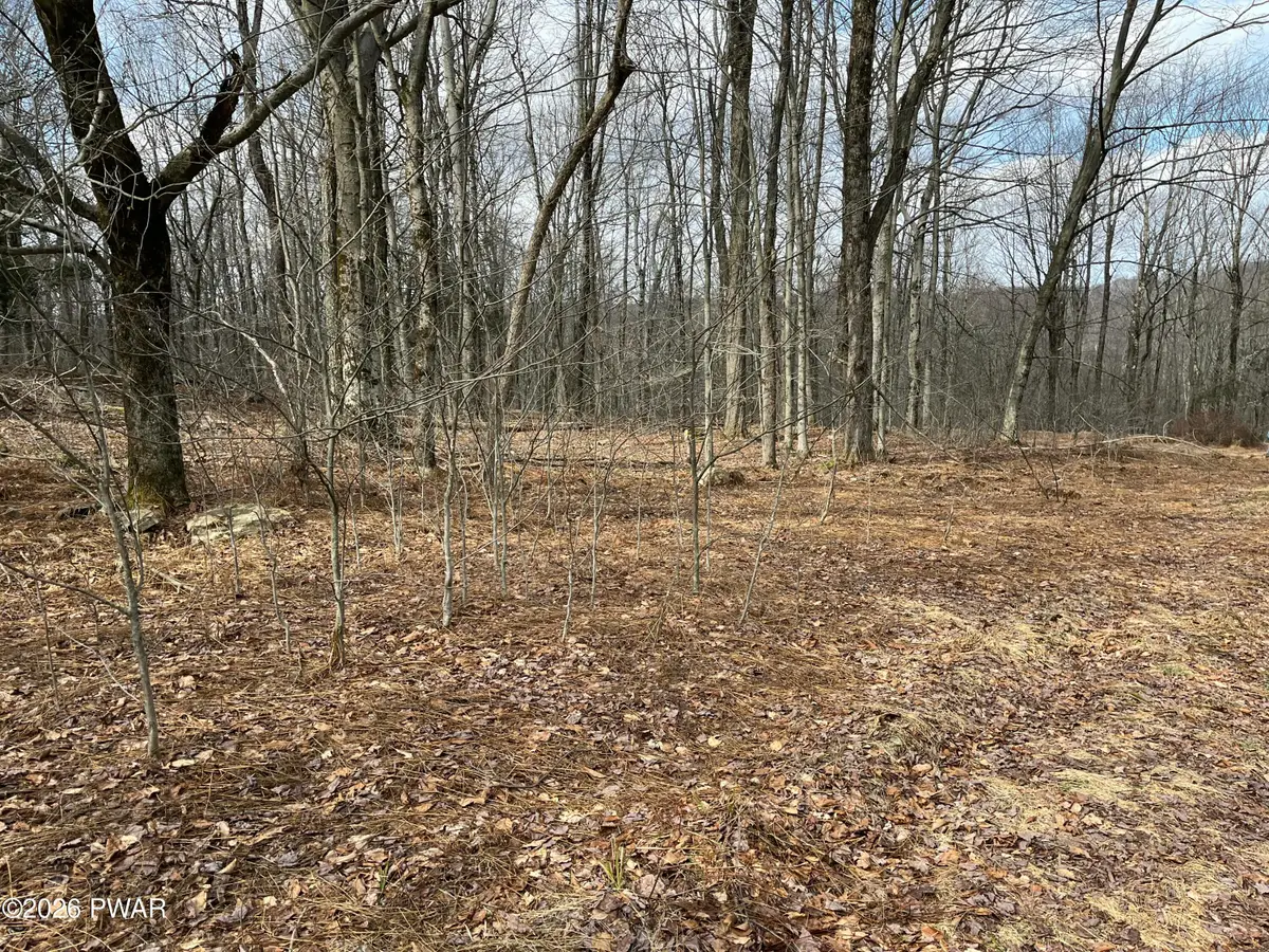 Lot 12 Sec 2, Newfoundland, PA 18445 - #1