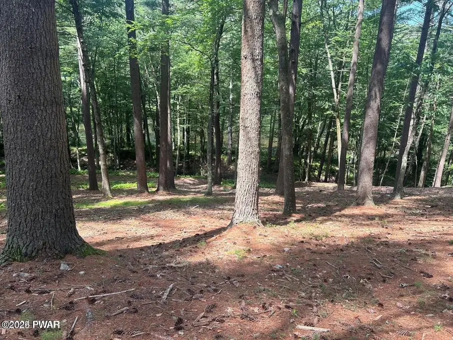 Lot 22 Circle Drive, Hawley, PA 18428 - #2