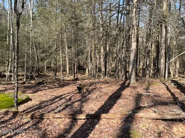 Hurd And Parks, Swan Lake, NY 12783 - #3