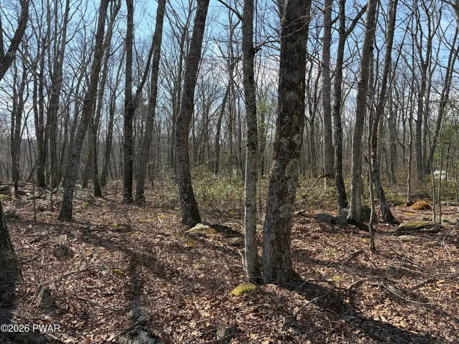 Lot 3509 Walton Way & Stockton Drive, Conashaugh Lakes, PA 18428 - #2