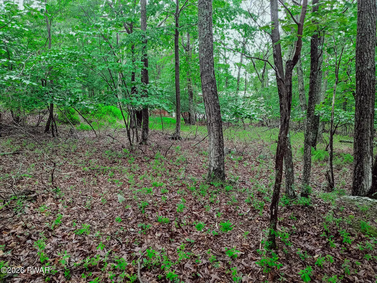 102 Rodney Road, Milford, PA 18337 - #1