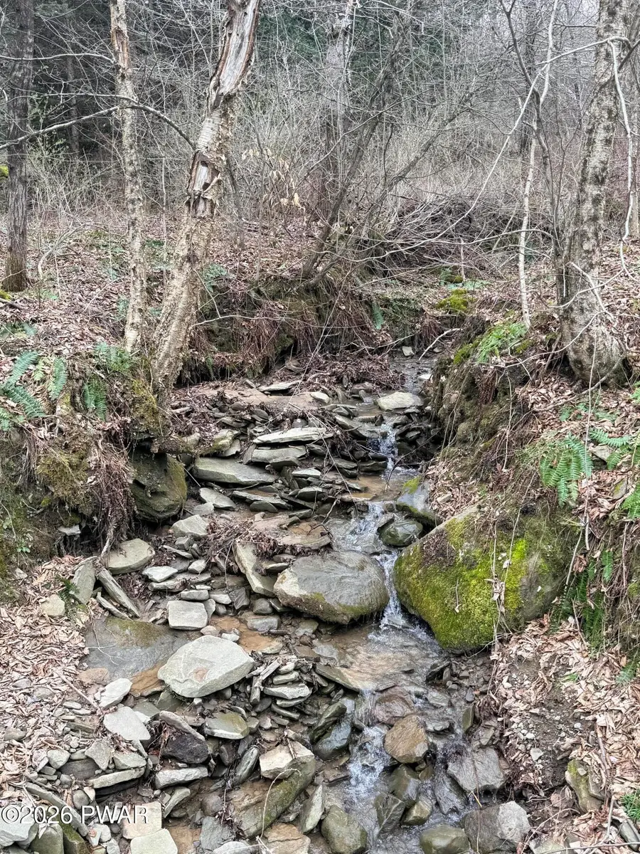 Osweld Johnson Road, Clifford, PA 18441 - #2