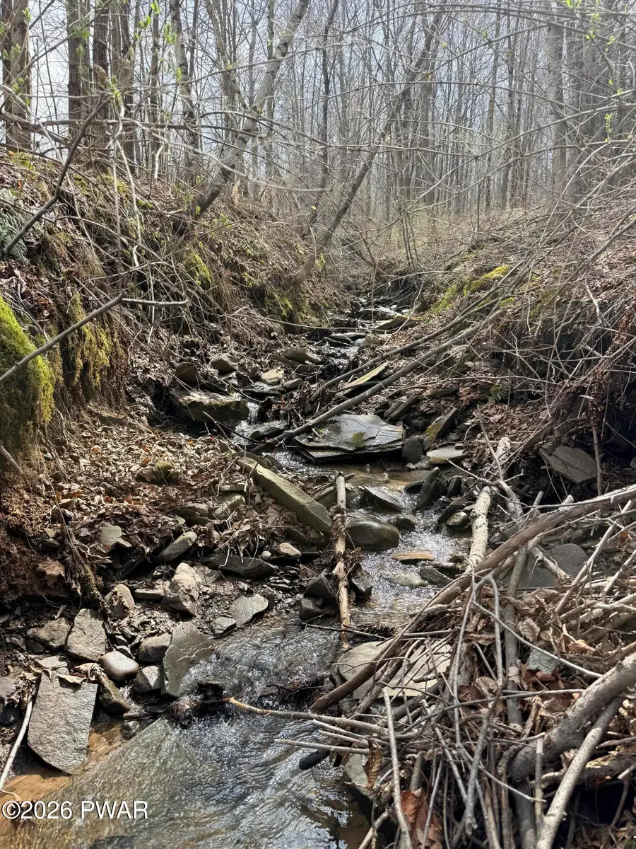 Osweld Johnson Road, Clifford, PA 18441 - #2