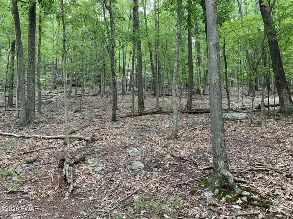 LOT 846 Alta Lane, Tafton, PA 18464