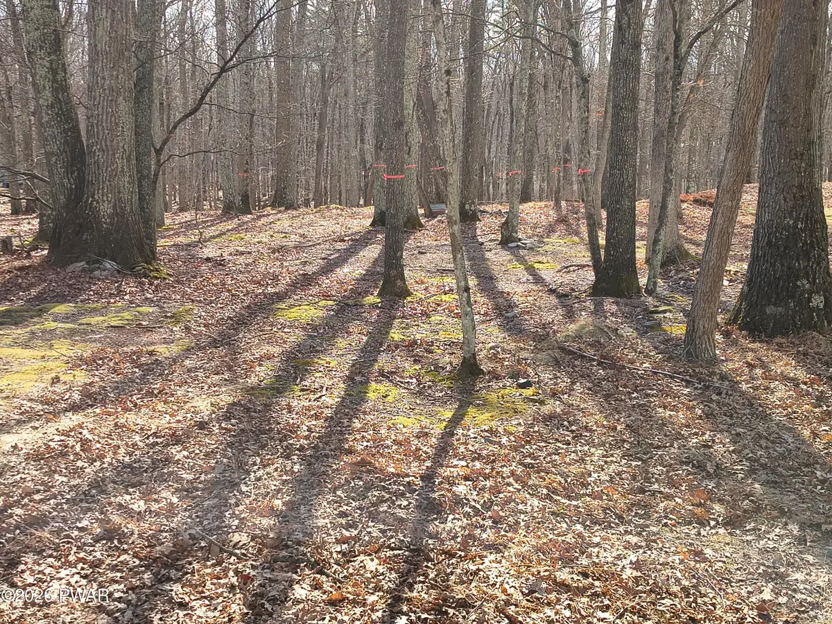 174 Cottonwood Drive, Hawley, PA 18428 - #1