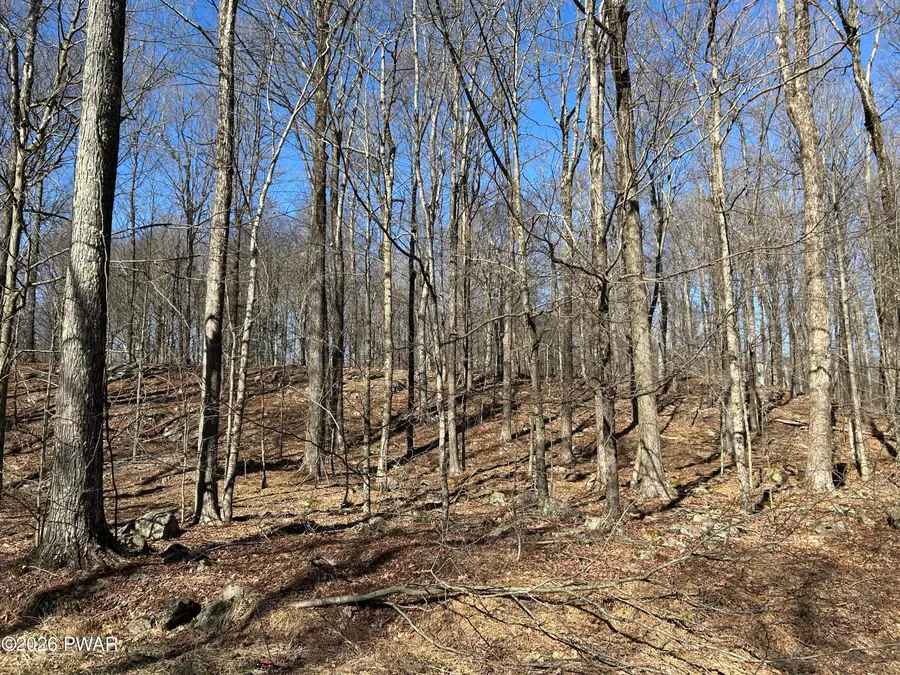 Lot 2230R Saw Mill Road, Greentown, PA 18426 - #2