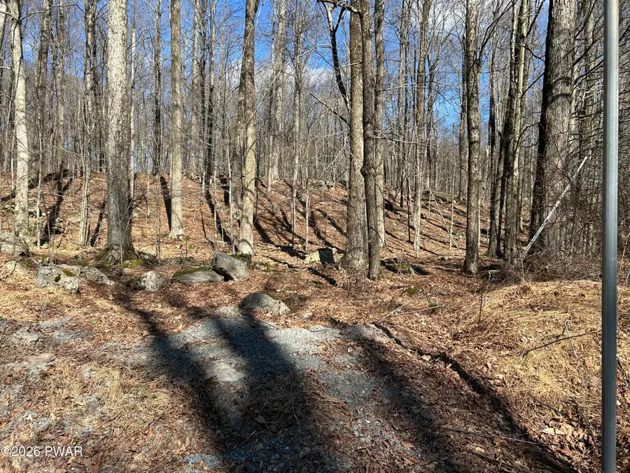 Lot 2230R Saw Mill Road, Greentown, PA 18426 - #3