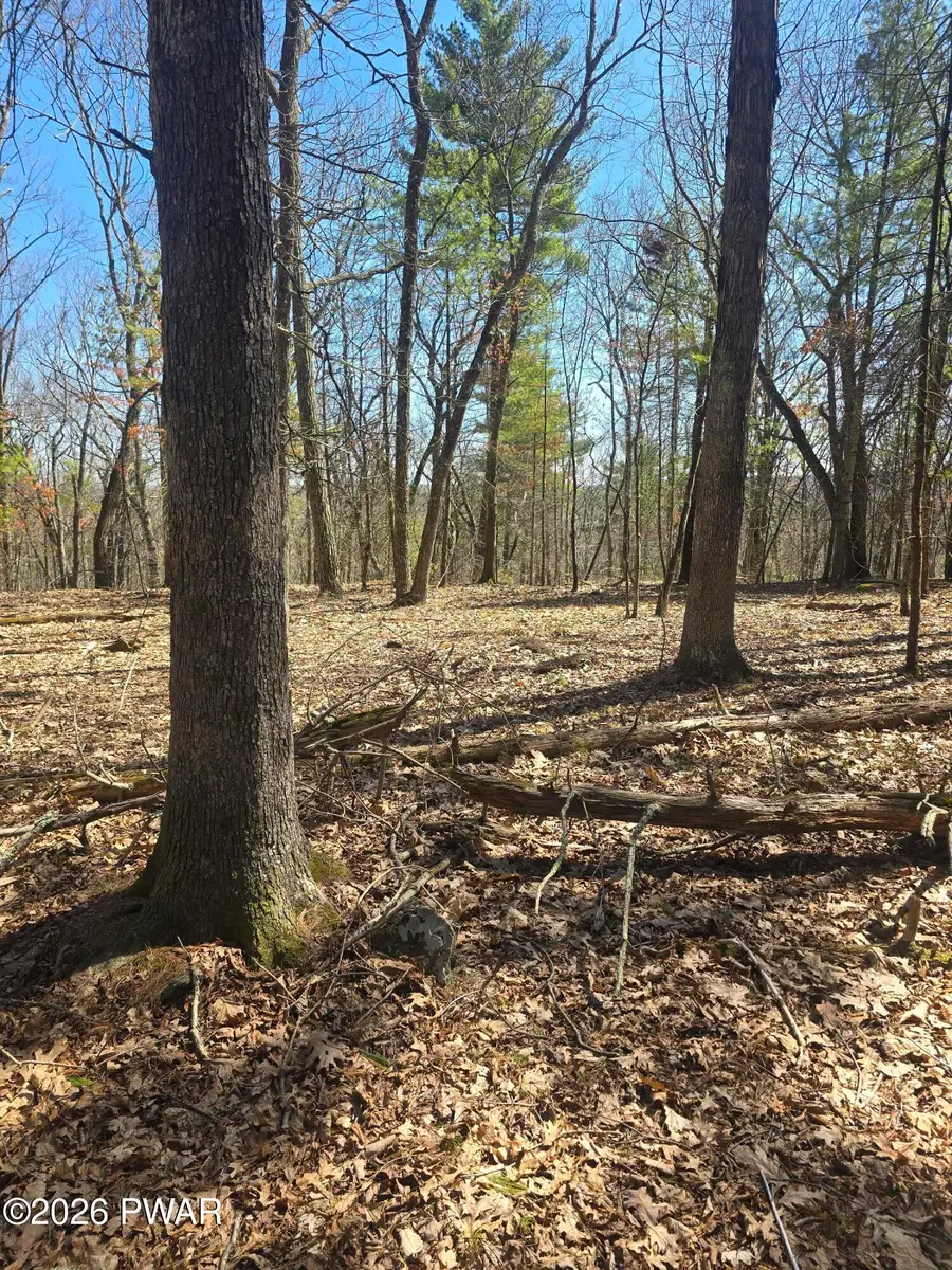 109 Autumn Court, Hawley, PA 18428 - #3