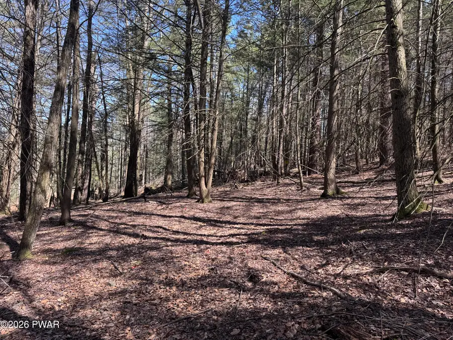 Steep Hill Road, Beach Lake, PA 18405 - #2