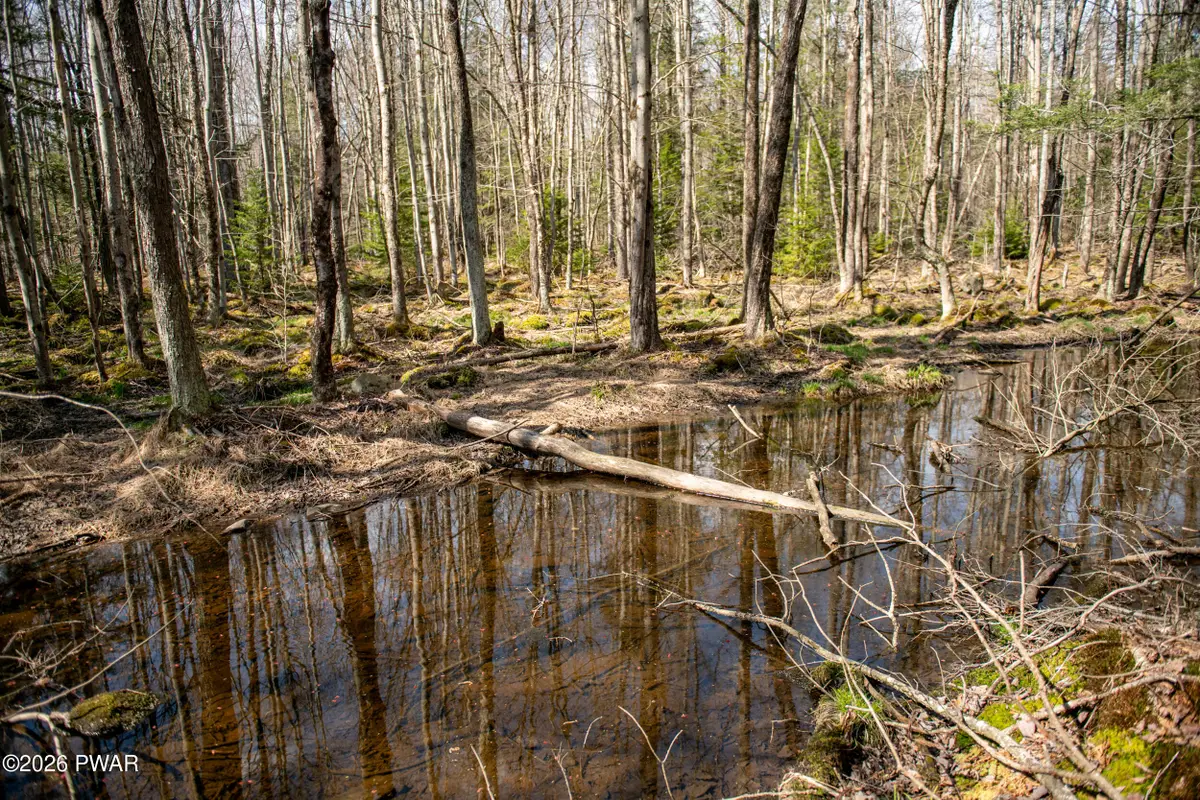Rocky Swamp Rd 39, Pocono Lake, PA 18347 - #1