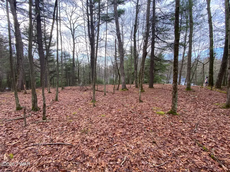 Lot 54 Laverne Drive, Dingmans Ferry, PA 18328 - #3