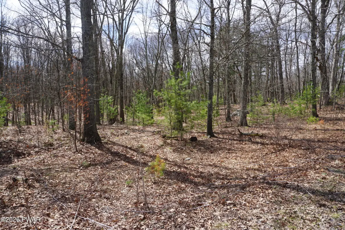 Lot #4 Roosie Road, Dingmans Ferry, PA 18328 - #1