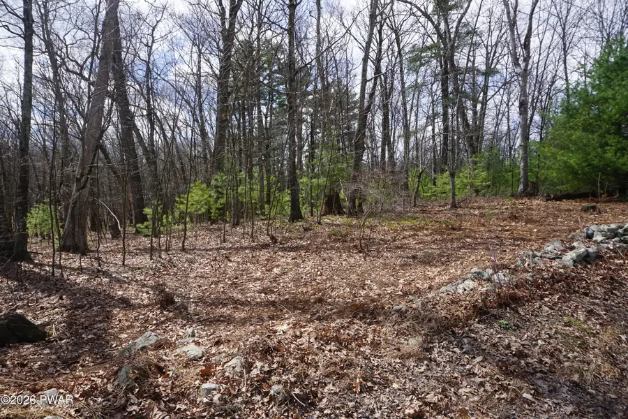 Lot #4 Roosie Road, Dingmans Ferry, PA 18328 - #2