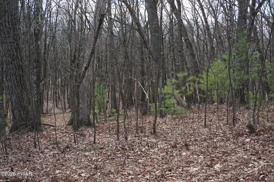 Lot #4 Roosie Road, Dingmans Ferry, PA 18328 - #3