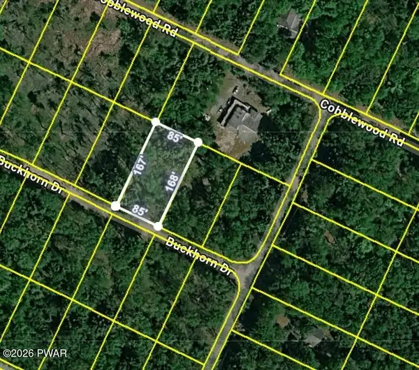 Lot 5 Buckhorn Drive, Newfoundland, PA 18445