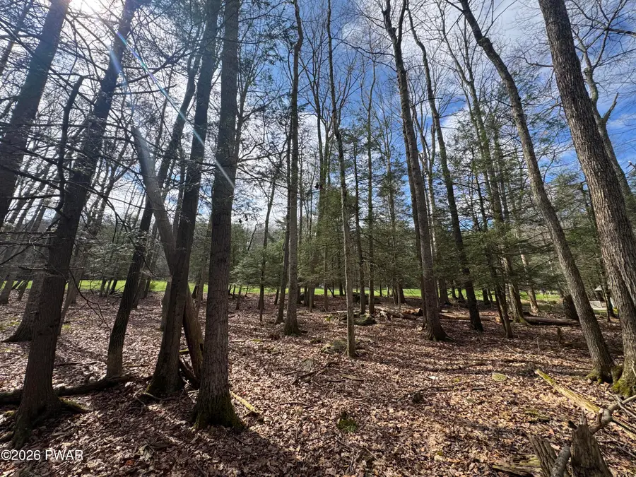 N Evergreen Drive, Greentown, PA 18426 - #3