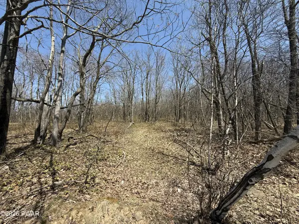 Salem Mountain Road, Carbondale, PA 18407