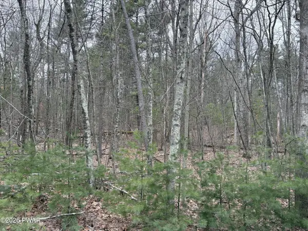 Lot 13 Juniper Terrace, Dingmans Ferry, PA 18328