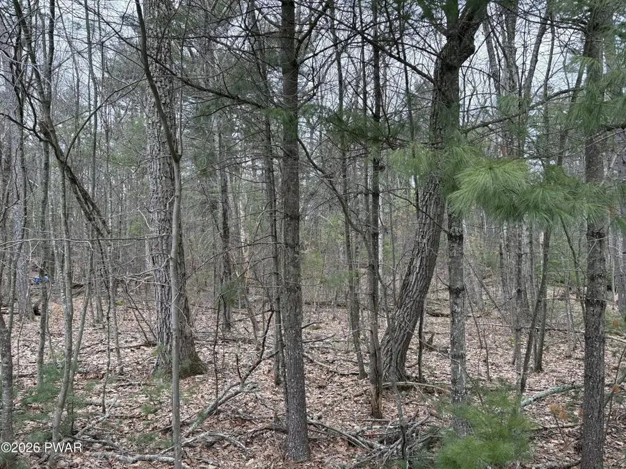 Lot 13 Juniper Terrace, Dingmans Ferry, PA 18328 - #2