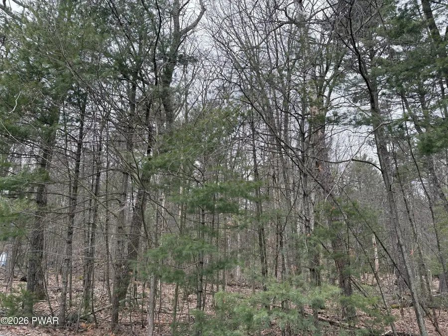 Lot 13 Juniper Terrace, Dingmans Ferry, PA 18328 - #3