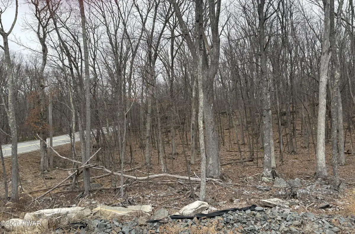 Lot 3 Route 739, Milford, PA 18337 - #1