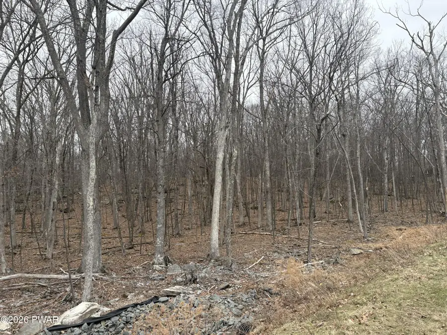 Lot 3 Route 739, Milford, PA 18337 - #3
