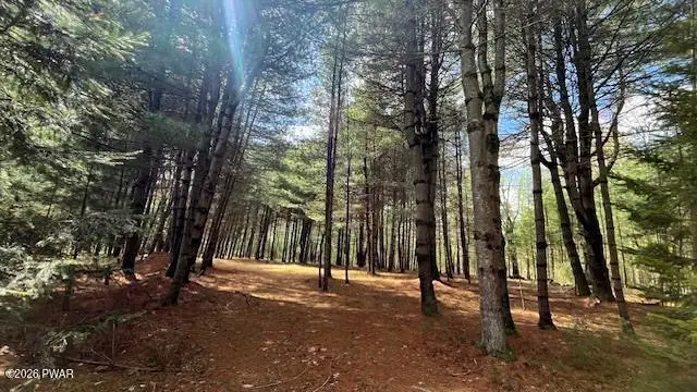 Lot 20 White Road, Glen Spey, NY 12737 - #2